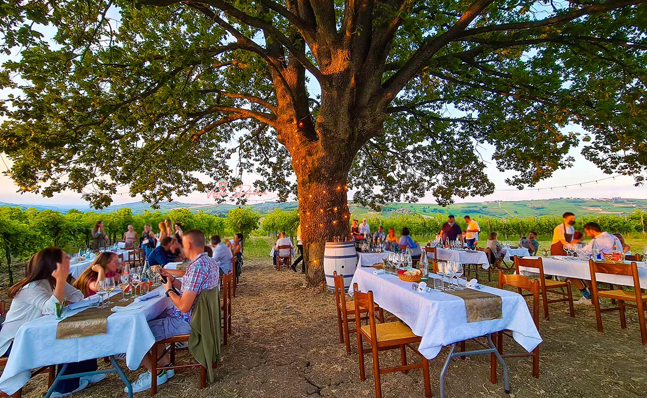 Cena in vigna Calatroni