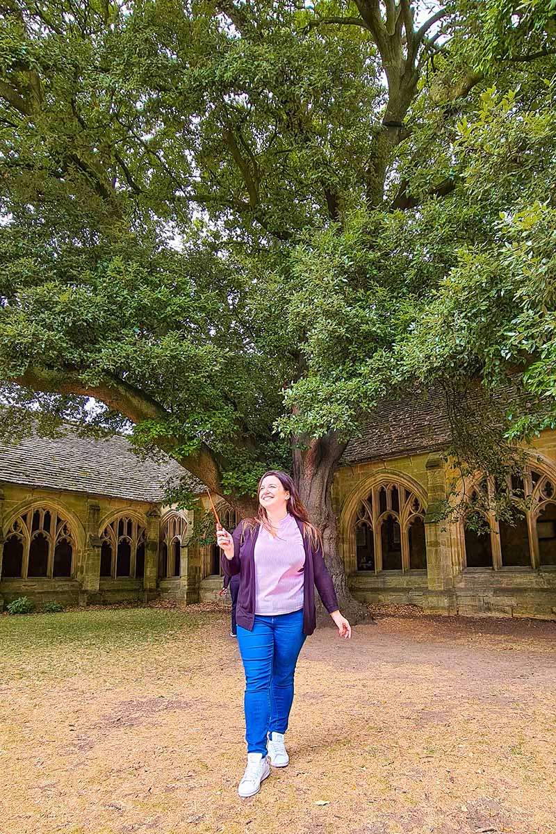 New College Oxford cortile