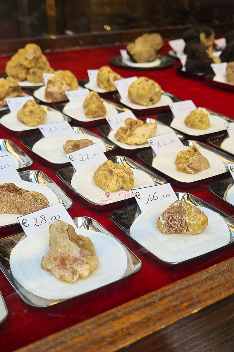 Fiera del Tartufo Alba