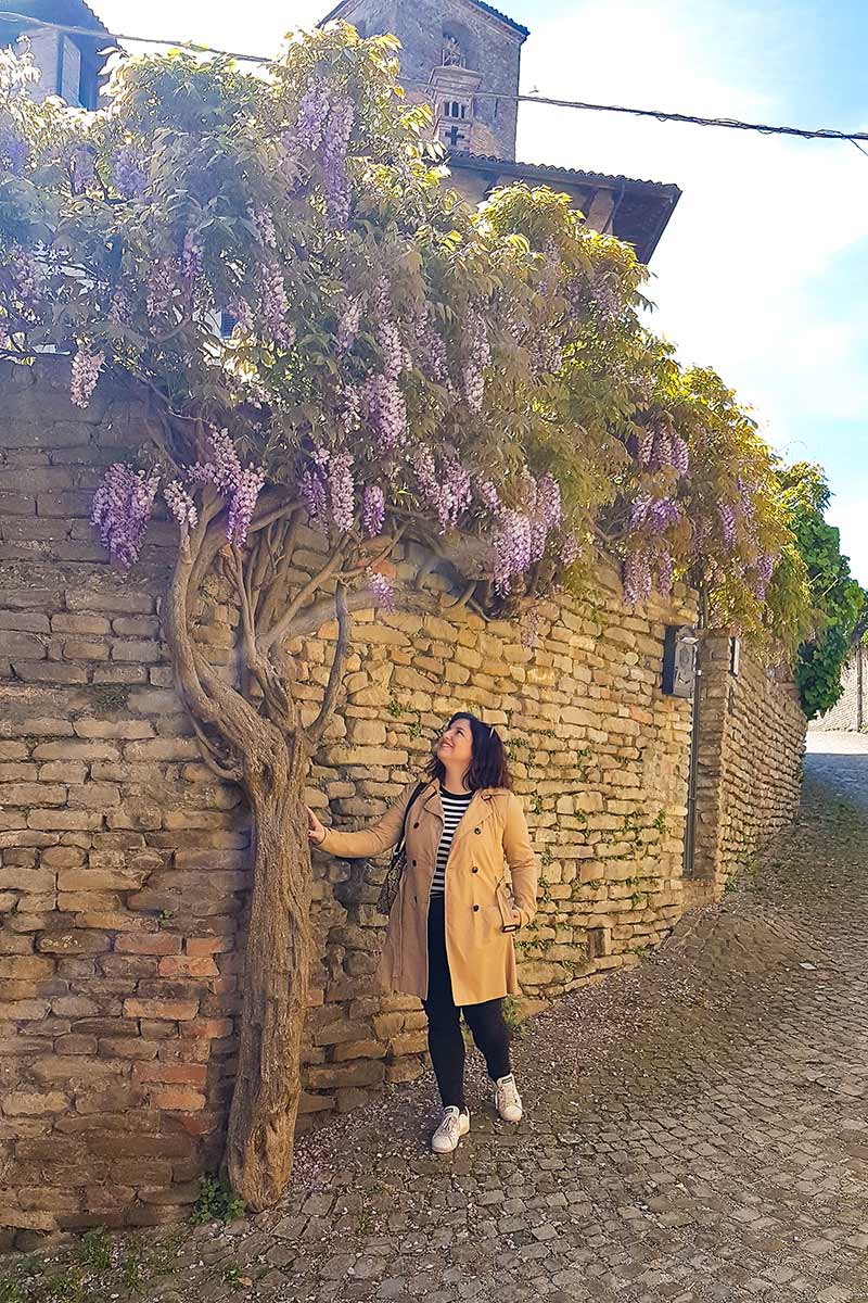 Quando andare nelle Langhe